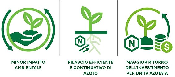 helm_plus_icons_it
